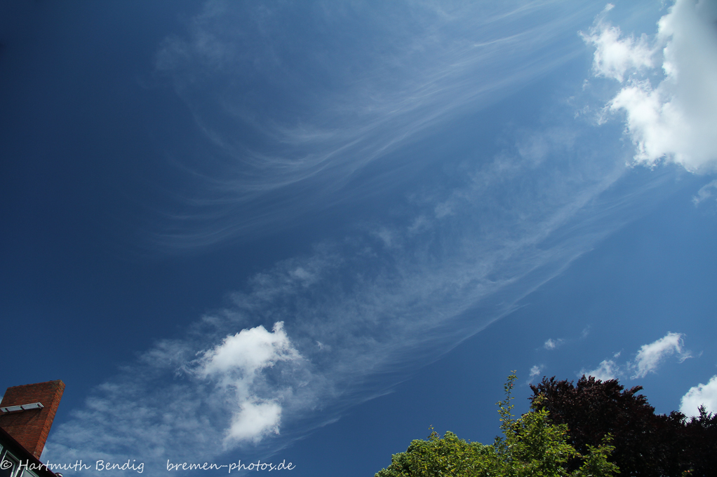 himmelblau oder der einfache Blick nach oben 2