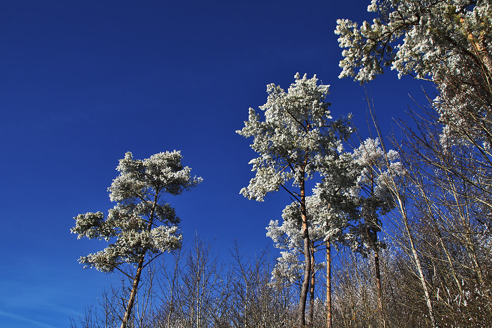 himmelblau und eiskalt