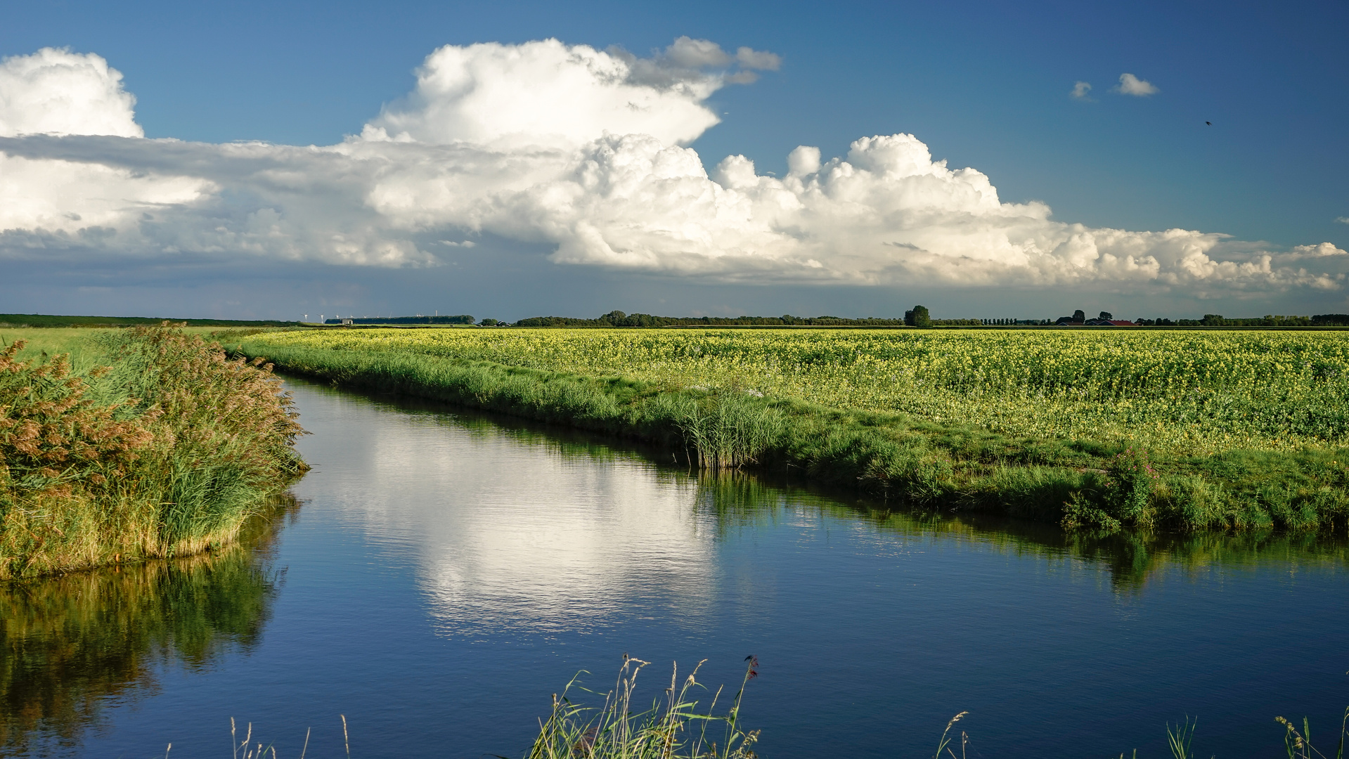 Himmelblau und wolkenweiß im Wasserspiegel