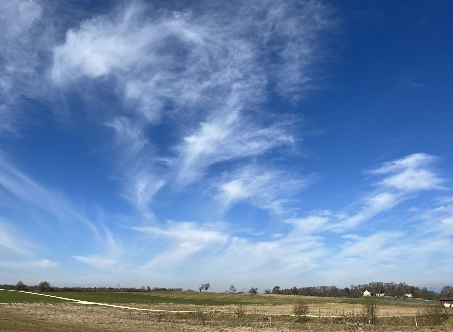 Himmelblau zum Montag.