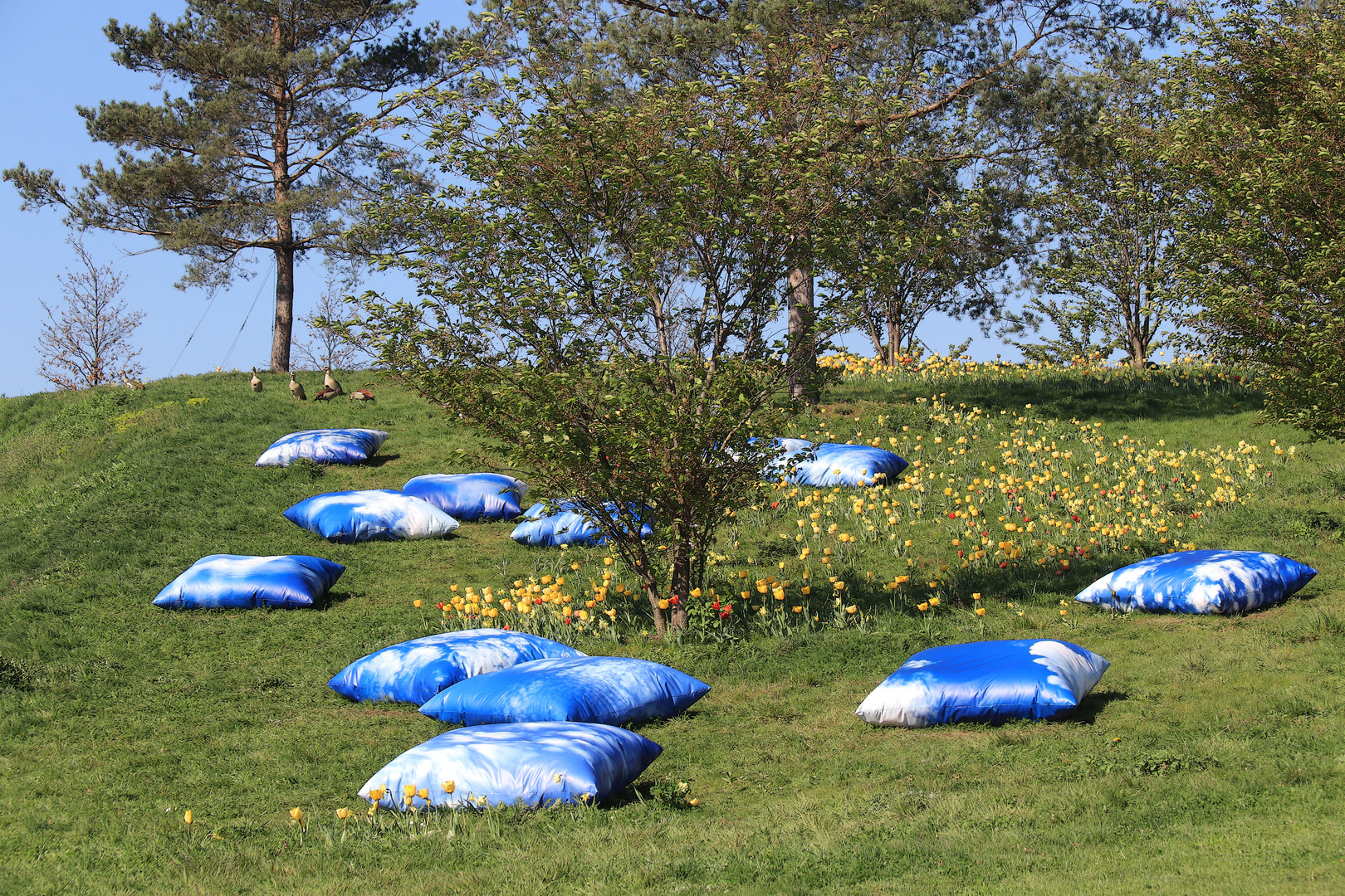 Himmelblaue Kissen