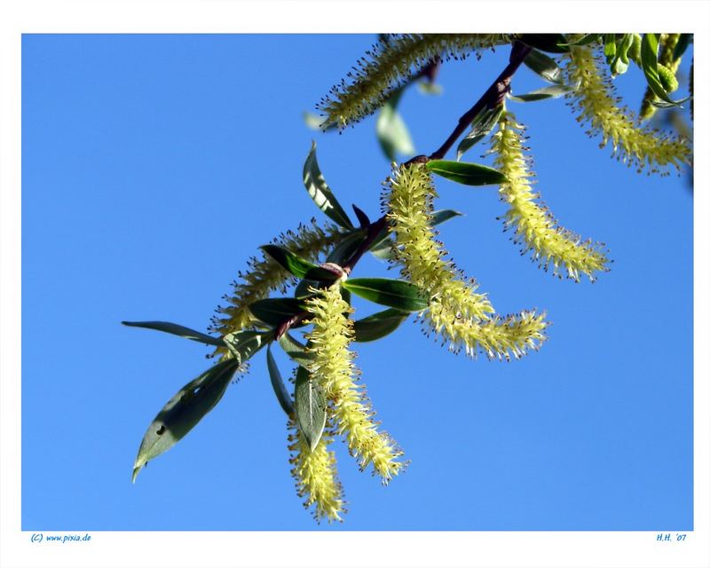 Himmelblauer Himmel...