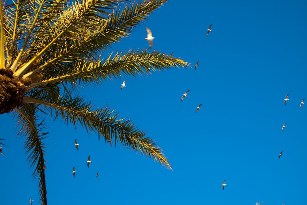 Himmelblick am Strand von Agadir