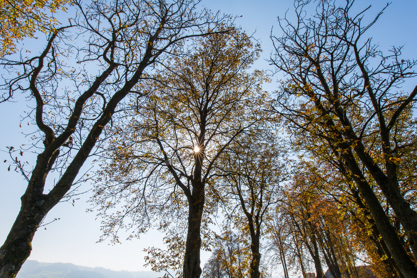 Himmelblick