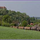 Himmelfahrt im Wienerwald I