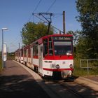 Himmelfahrts Ausflug mit der Thüringer Waldbahn 3.