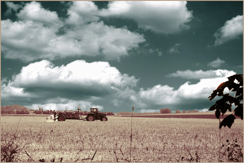 himmel,feld & fahrzeug