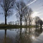 Himmelgeister Rheinbogen