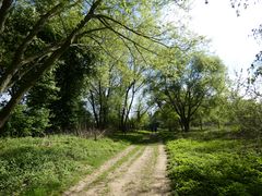 Himmelgeister Rheinbogen