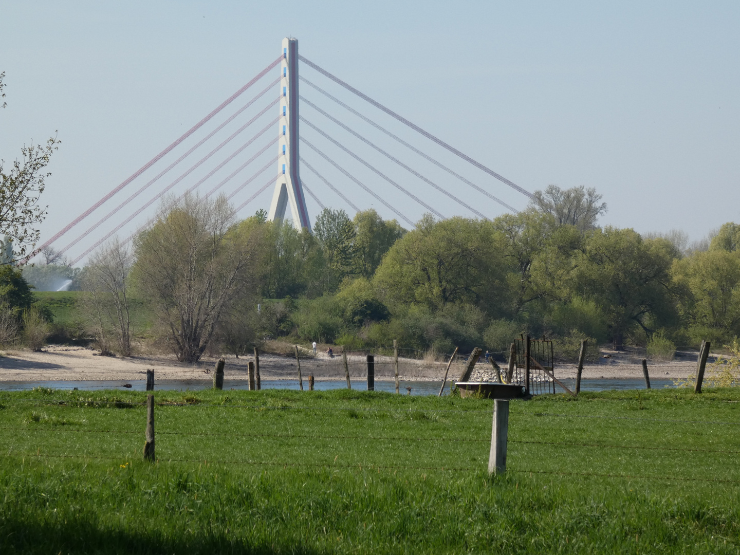 Himmelgeister Rheinbogen