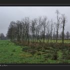 Himmelmoor im Dezember (1)