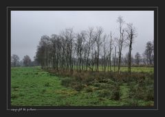 Himmelmoor im Dezember (1)