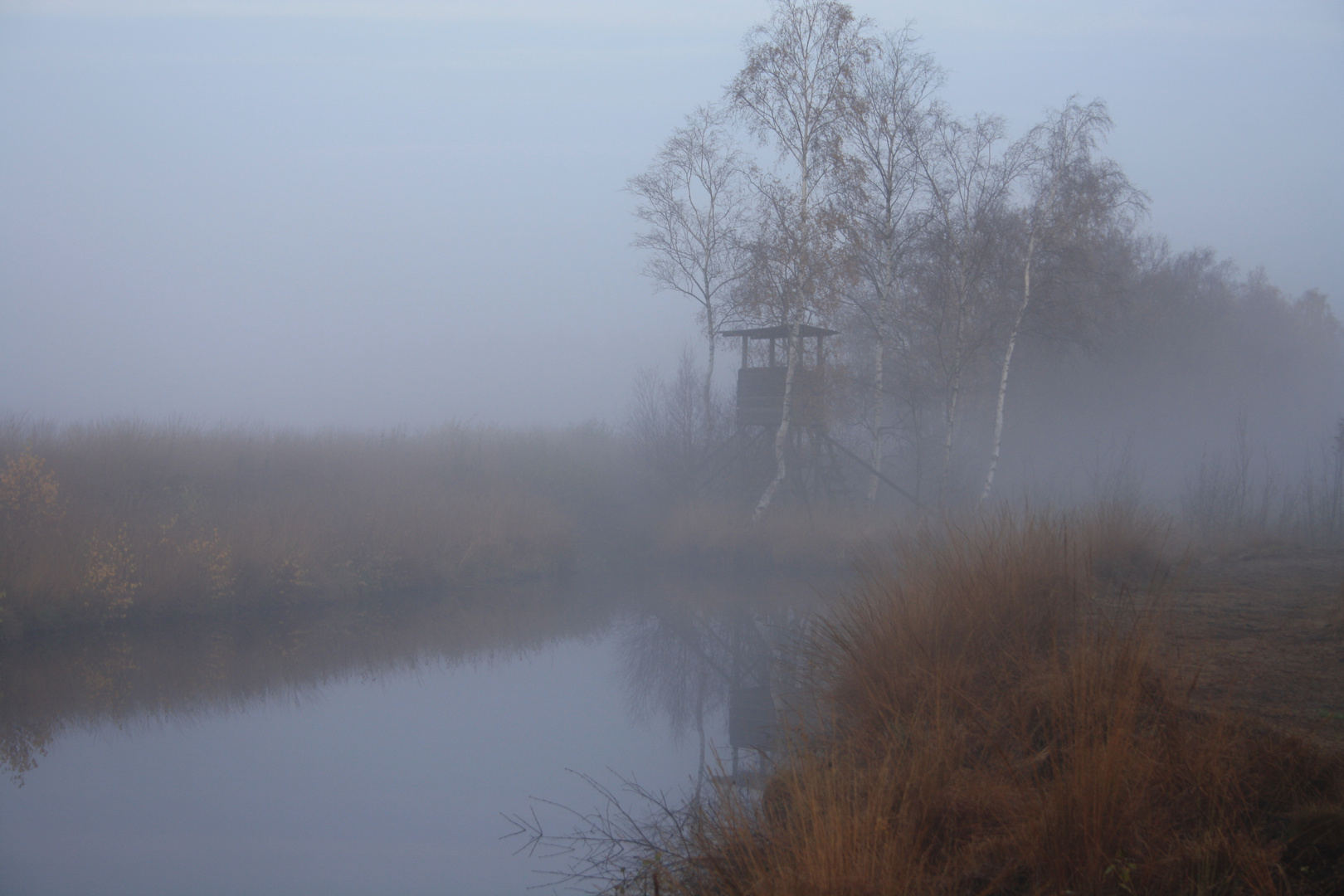 Himmelmoor im Nebel 3