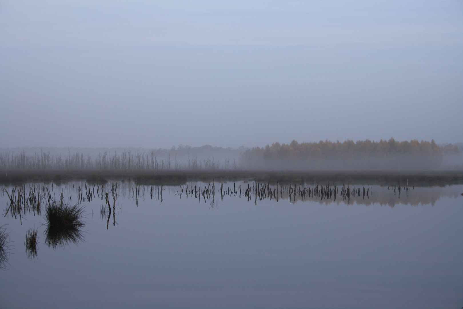 Himmelmoor im Nebel 4