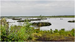 Himmelmoor mit kleinen Inseln