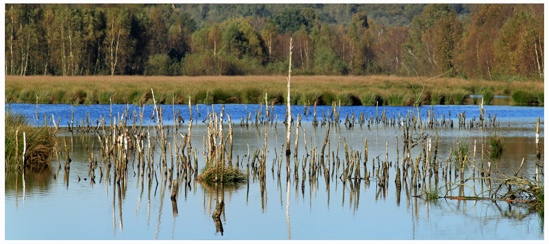 Himmelmoorsee