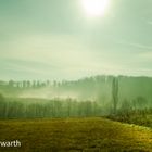 Himmelreich im Frühnebel