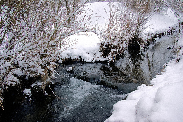 Himmelsbach Foto & Bild | jahreszeiten, winter, schweiz Bilder auf ...