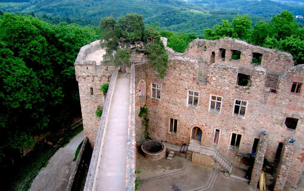 "Himmelsbaum" auf Schloß Auerbach, Bensheim von Crysta 