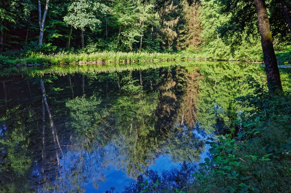 Himmelsblau im Lasbachweiher