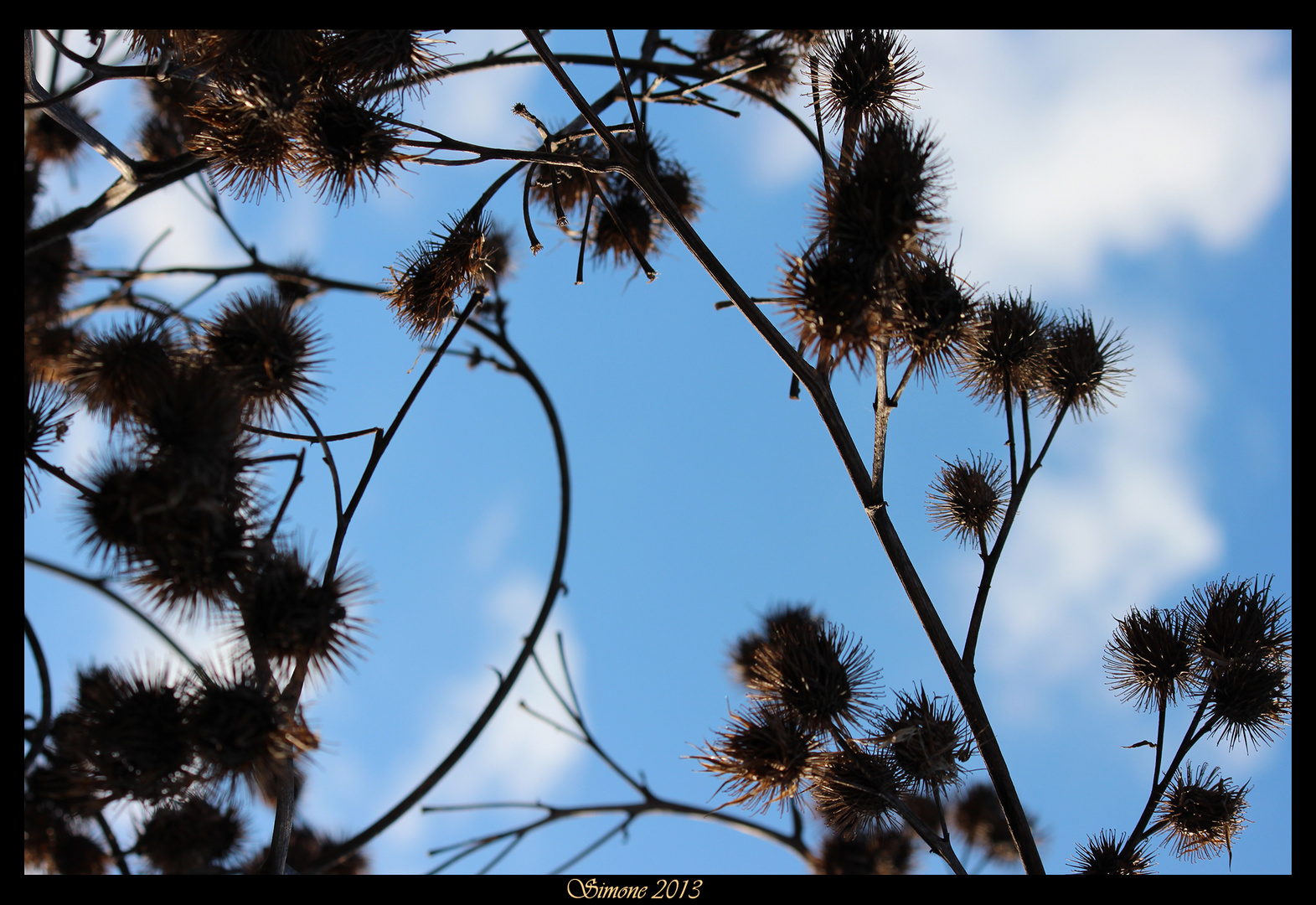 Himmelsblick