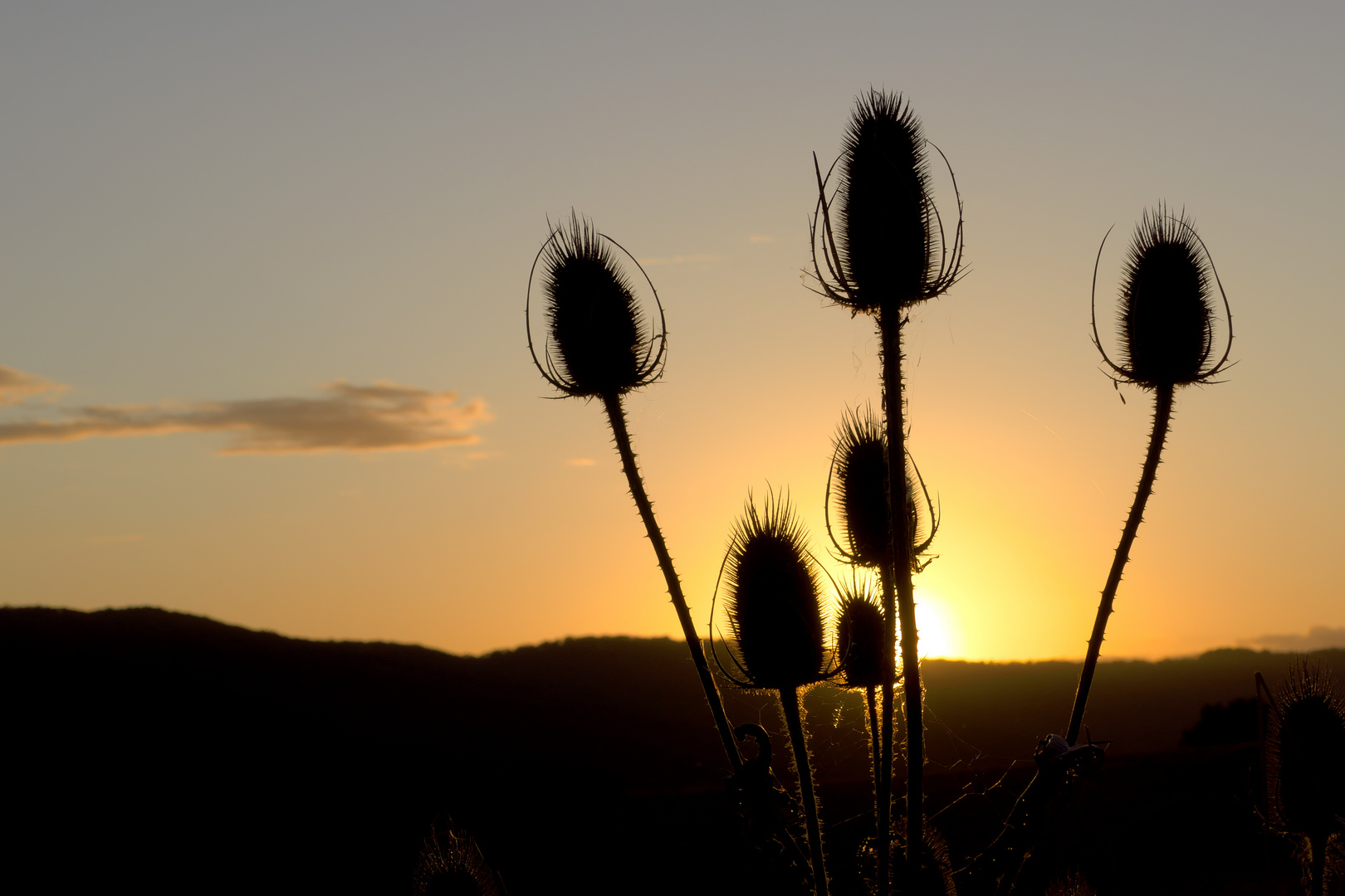 Himmelsfarben hinter Karden