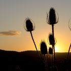 Himmelsfarben hinter Karden