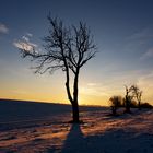 Himmelsfarben im Winter