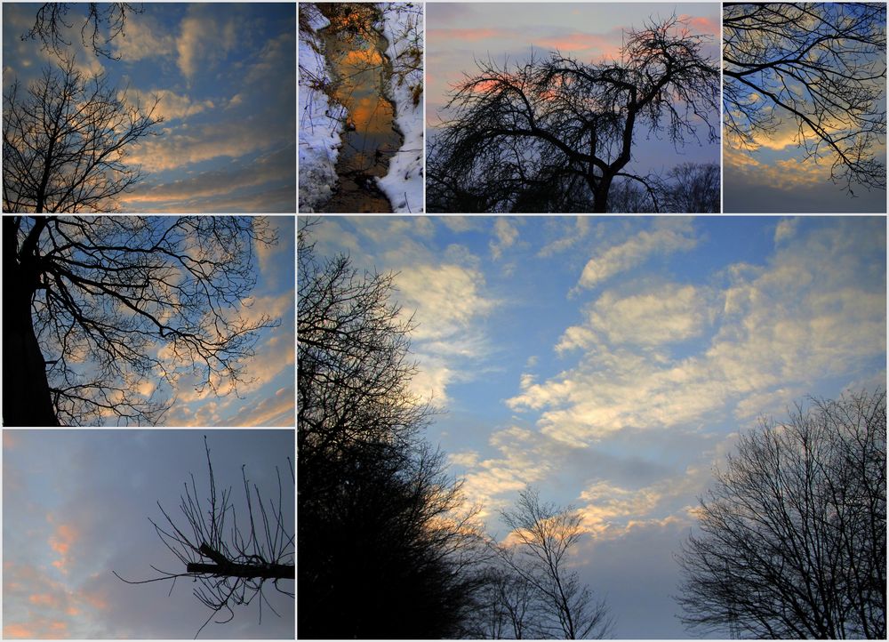 Himmelsgeäst...und ein kleiner Bach in den der Himmel gefallen ist.