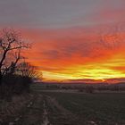 Himmelsglühen, das mich wegen der goldenen Farben an den 04.12. 1970 erinnert...