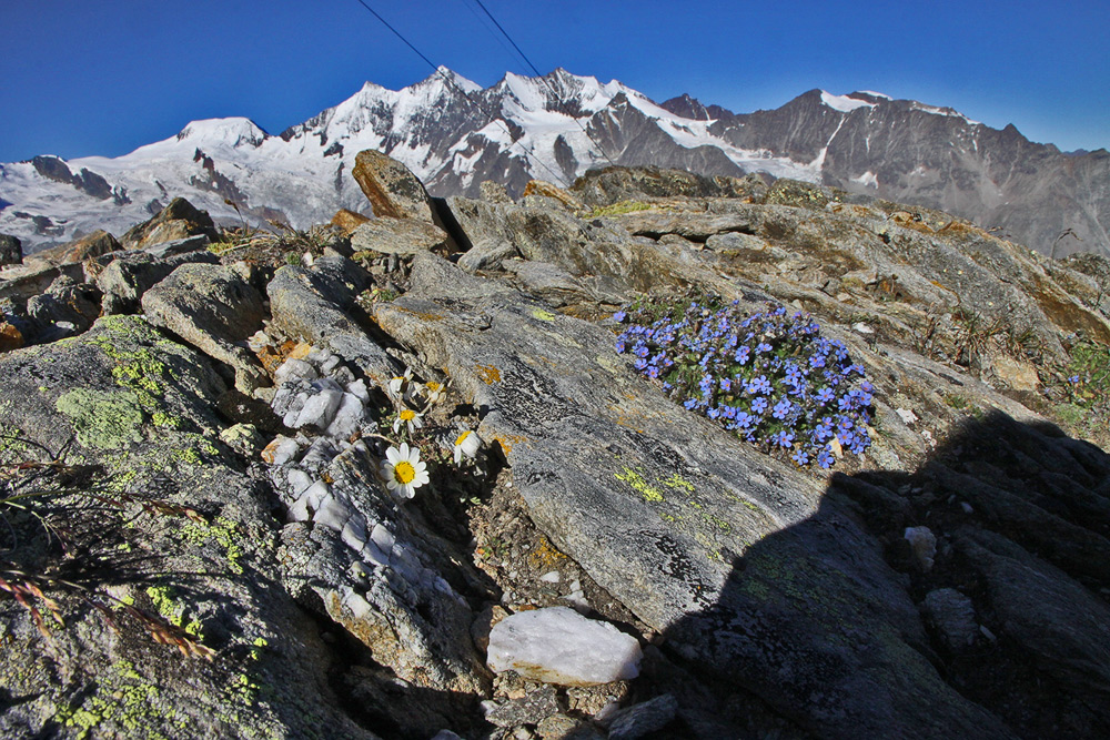 Himmelsherold mit Mischabelgruppe