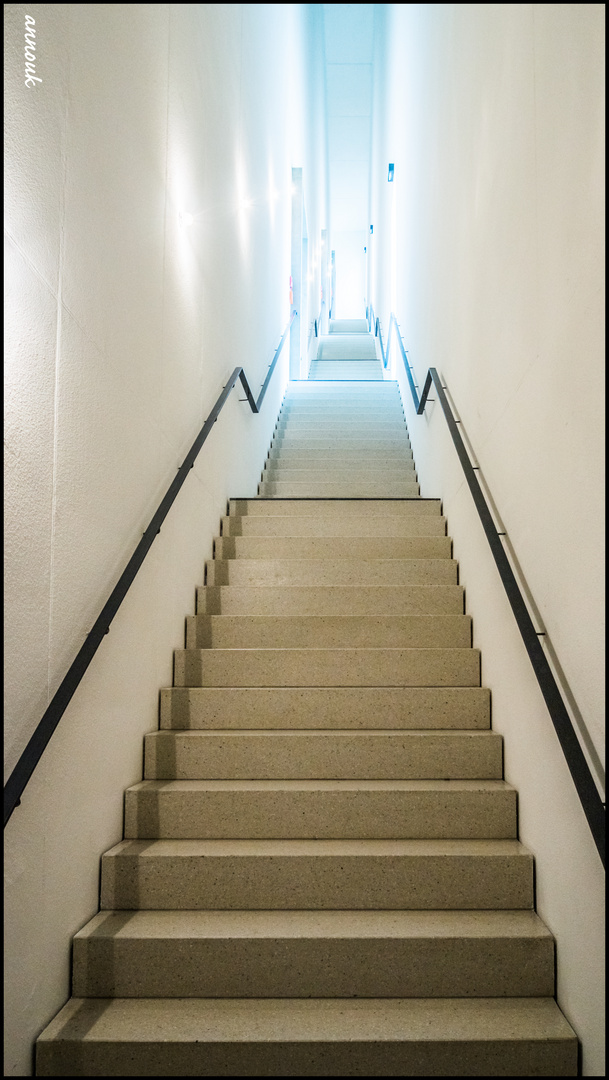 Himmelsleiter - L'escalier céleste (Bauhausmuseum Weimar) 