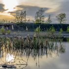 Himmelsspiegel auf der Halde Lydia Camphausen