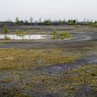 Himmelsspiegel auf der Halde Lydia Camphausen