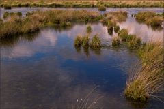 Himmelsspiegel im Moor