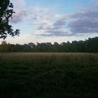 Himmel,Wald und Wiese