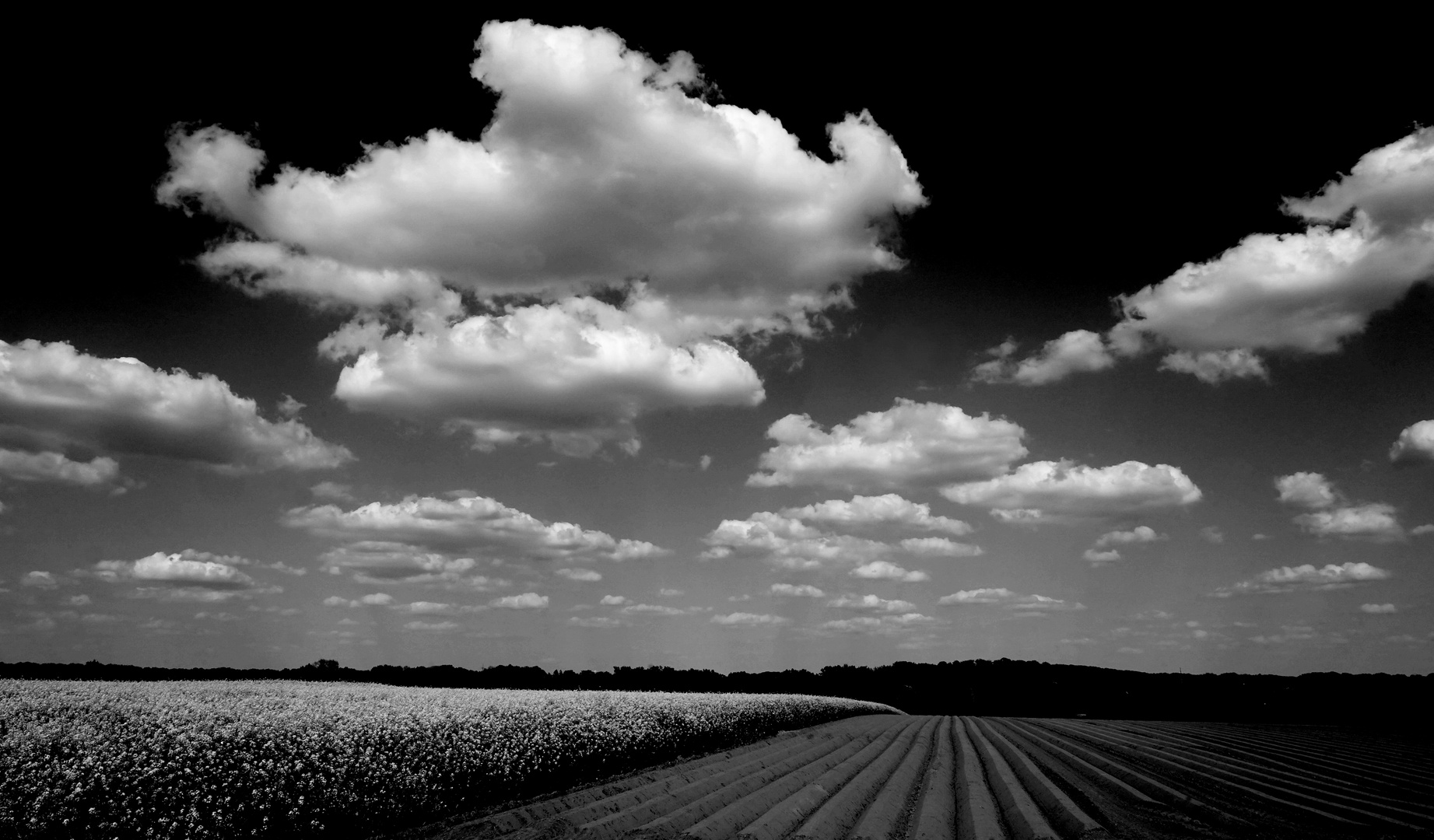 Himmel,Wolken,Wetter