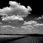 Himmel,Wolken,Wetter