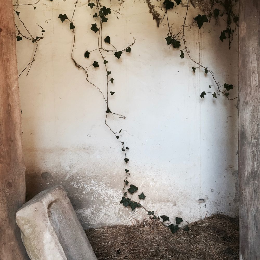 Himmighofen Ansichten 1 Foto & Bild telefonfotografie ;), natur