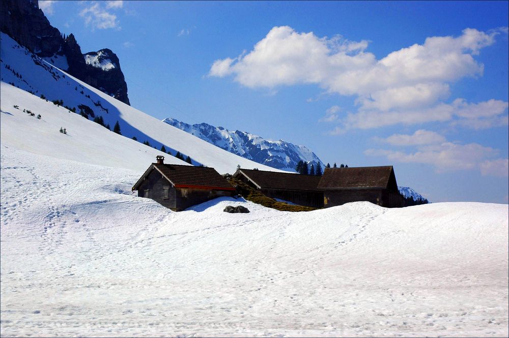 Himmlische Freuden