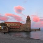 Himmlische Rose über der Hafenmole von Collioure in Südfrankreich