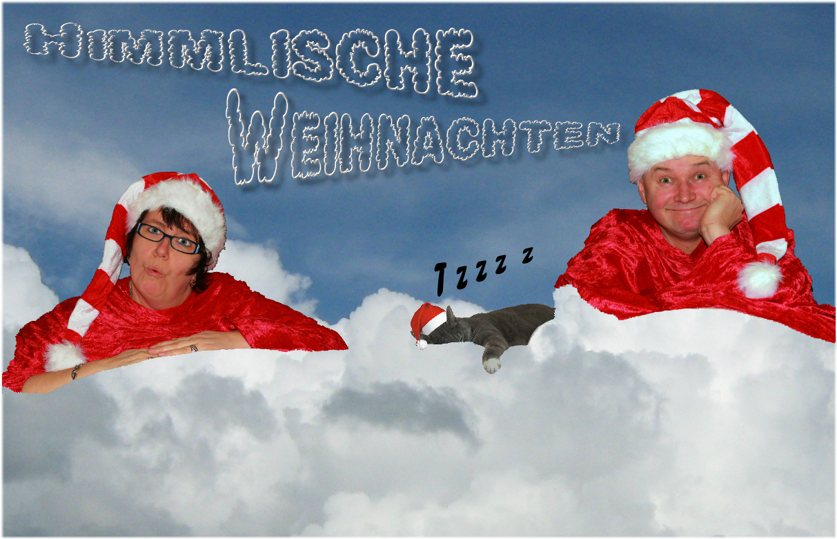 Himmlische Weihnachten wünscht Euch Sylvia