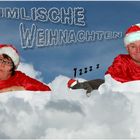 Himmlische Weihnachten wünscht Euch Sylvia