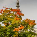 himmlischer Herbst