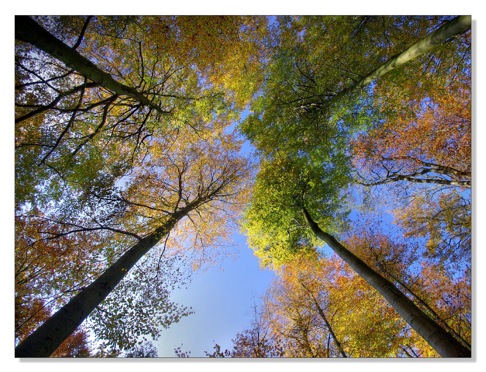 Himmlischer Herbstblick