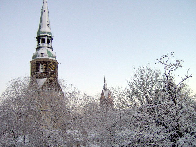 Himmlischer Winter