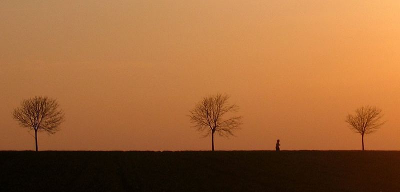 Hin zur Sonne !