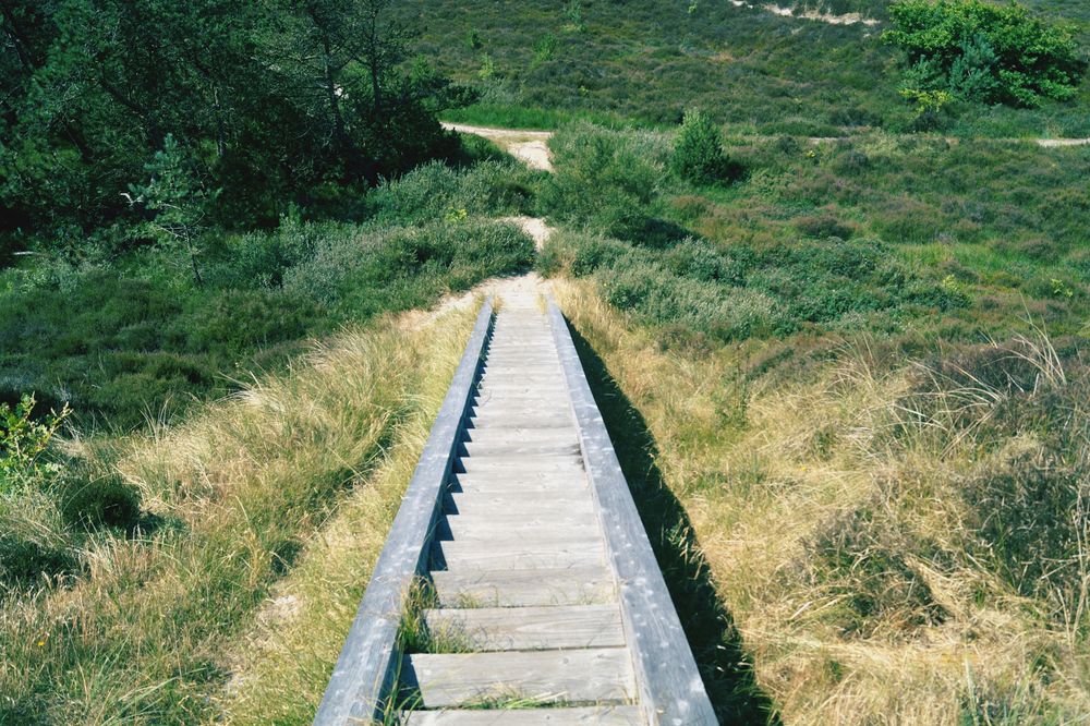 Hinab in die Heide