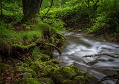 Hinanger Wasserfall Bachlauf