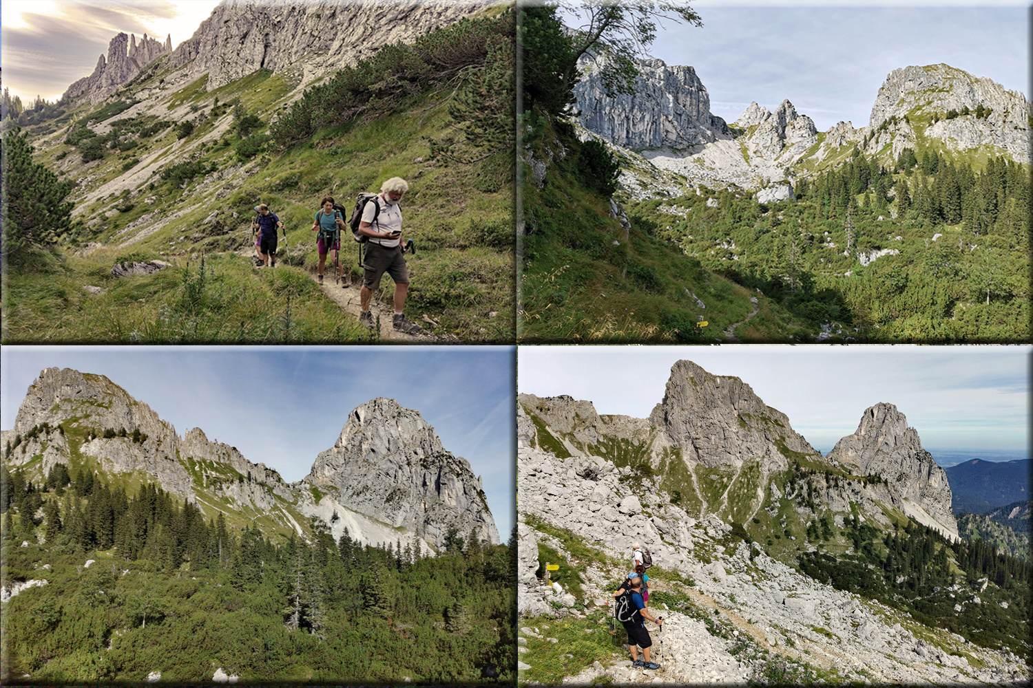 Hinauf in die Berge!